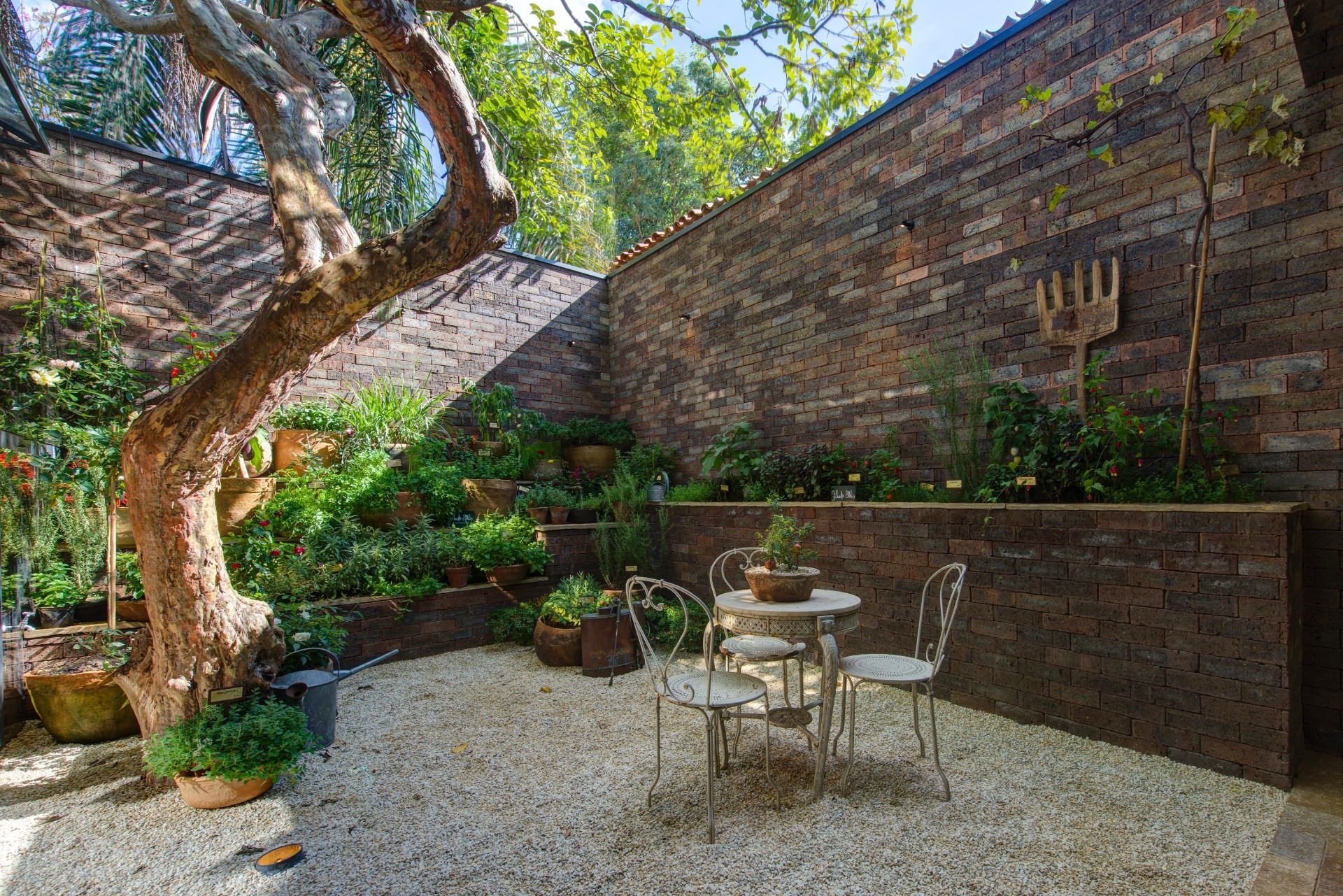10 dicas para cuidar do seu jardim durante o inverno 10 dicas para cuidar do seu jardim durante o inverno