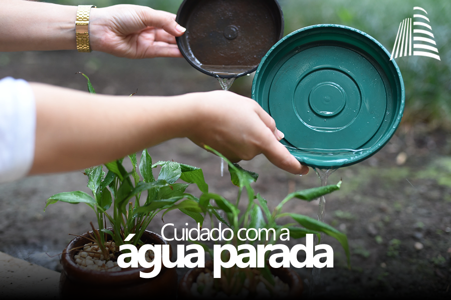 Cuidado com a Água Parada